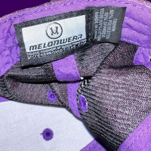 2019 Mankato Mavericks Minnesota State Hat NCAA MN Twins Rare Giveaway Snapback - Picture 4 of 5